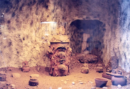 imagen1