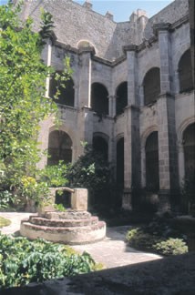 imagen1