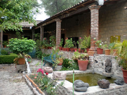 imagen1