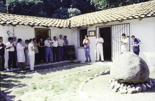 imagen3