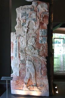 imagen1