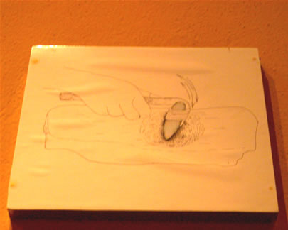 imagen3