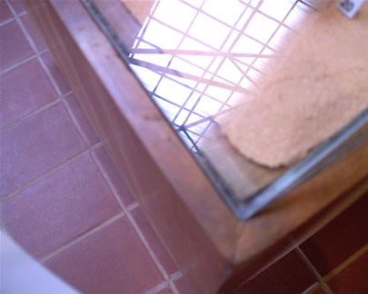 imagen3