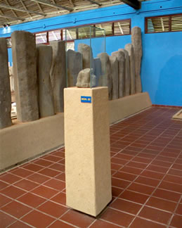 imagen1