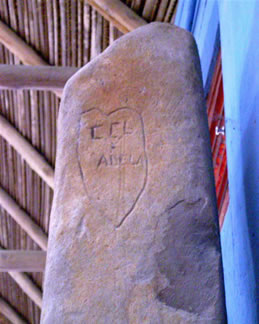 imagen3