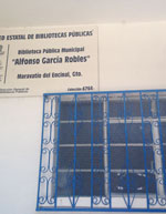 imagen1