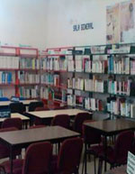 imagen1