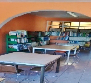imagen1