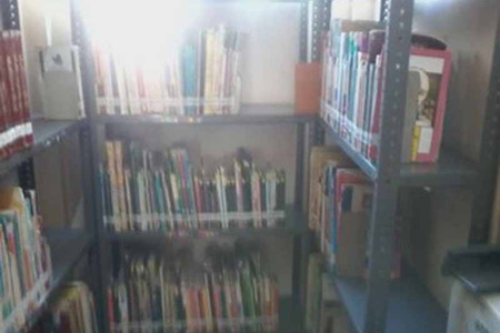 imagen3