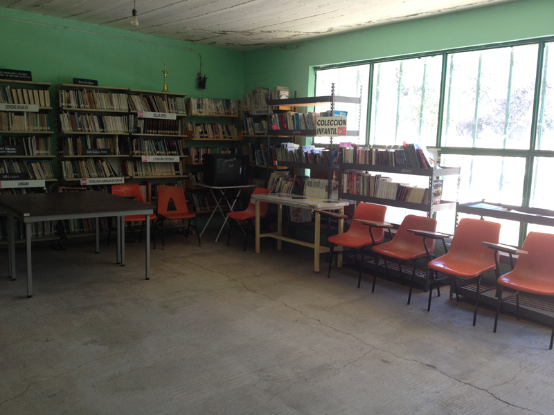 imagen1