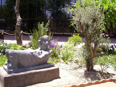 imagen1