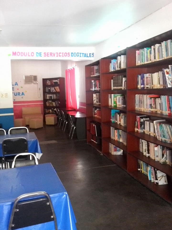 imagen3