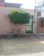 imagen1