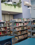 imagen2