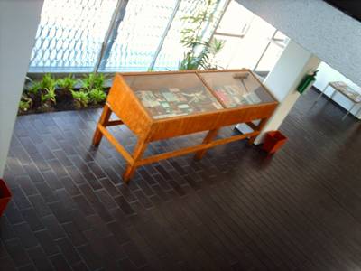 imagen1