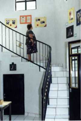 imagen1