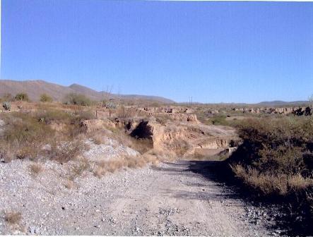 imagen3