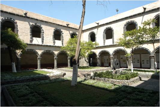 imagen1
