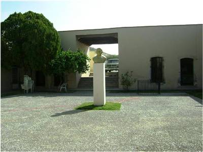 imagen1