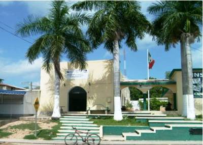 imagen1