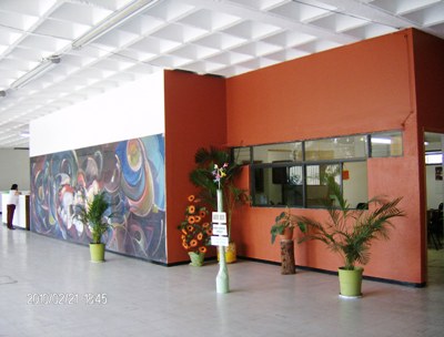imagen1