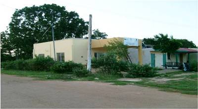 imagen1
