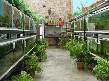 imagen1
