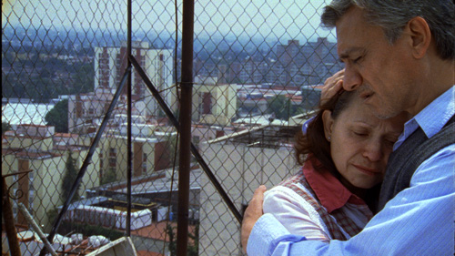 imagen1