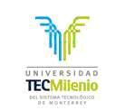 imagen1