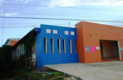 imagen1
