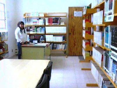 imagen1