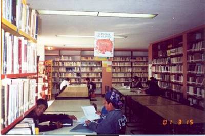 imagen2