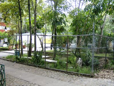 imagen2