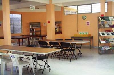 imagen3