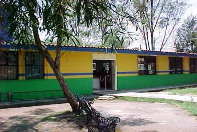 imagen3