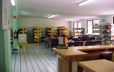 imagen1