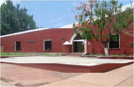 imagen3