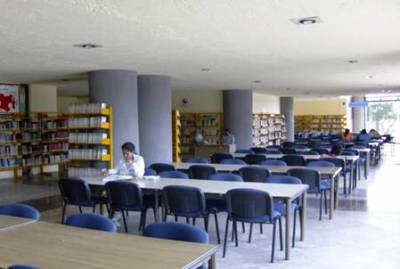 imagen1