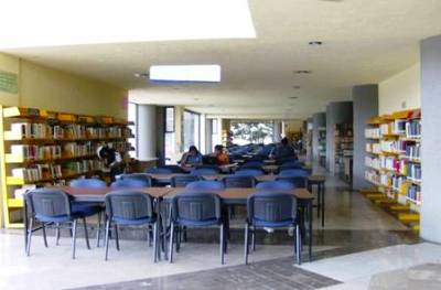 imagen1