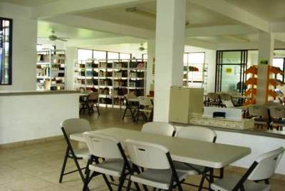 imagen3