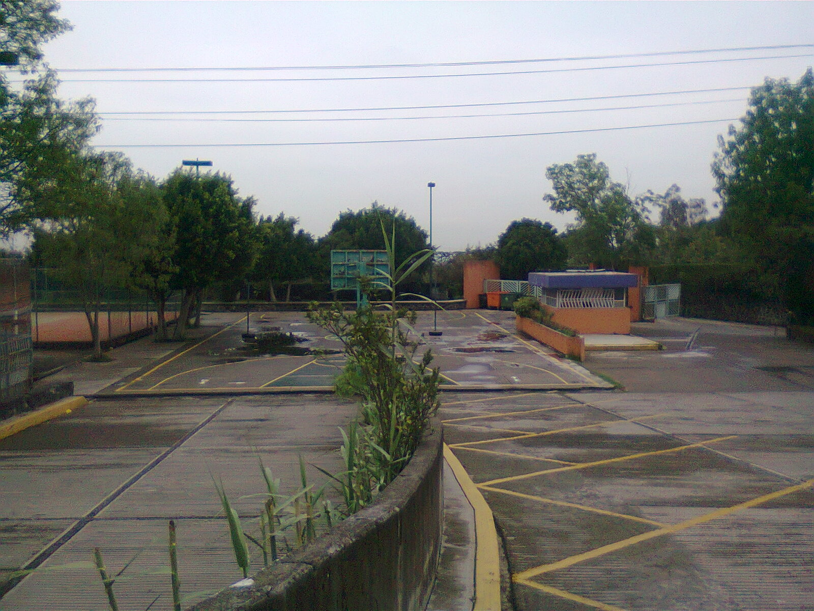 imagen3