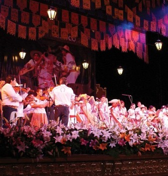 imagen1
