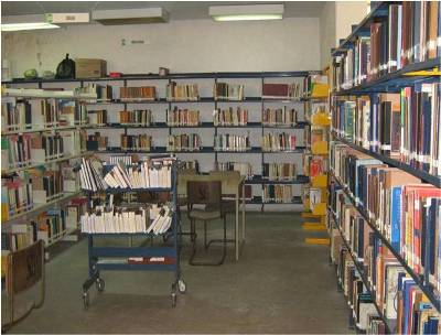 imagen3