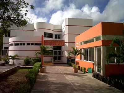 imagen3