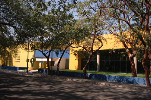 imagen1