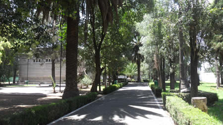 imagen1