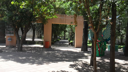 imagen0