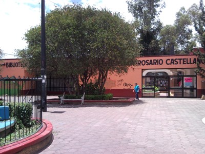 imagen3