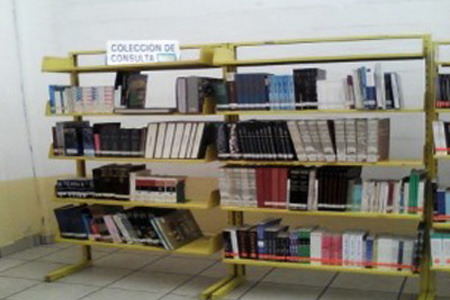 imagen3