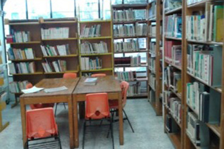 imagen3